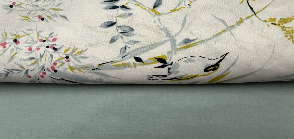 Ivory - Image 3